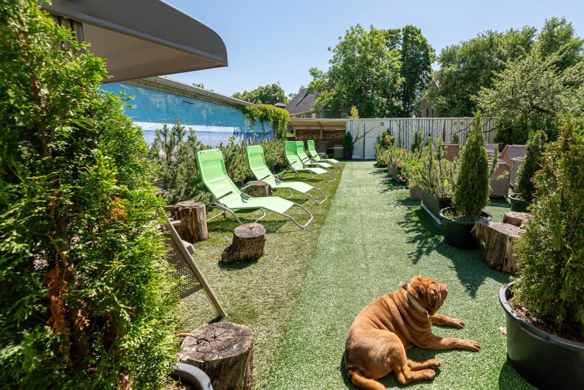 Garden Camping 탈린 외부 사진